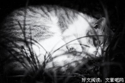 另一个自己