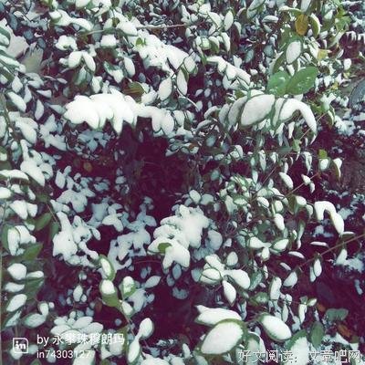 人生就是淡然地顺其自然