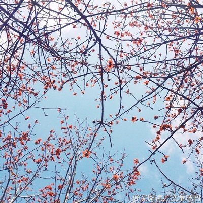 深深深蓝