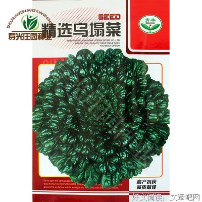 菘