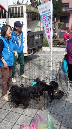 人文合一