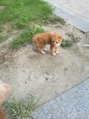 写在2016年的最后一天