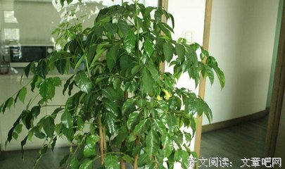 浅谈幸福