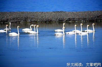 岁月不曾闲