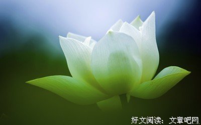 静……