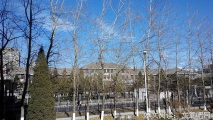 冬日下午