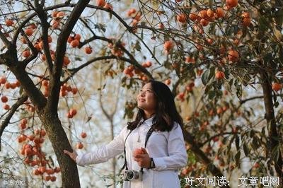 迷恋甄嬛传