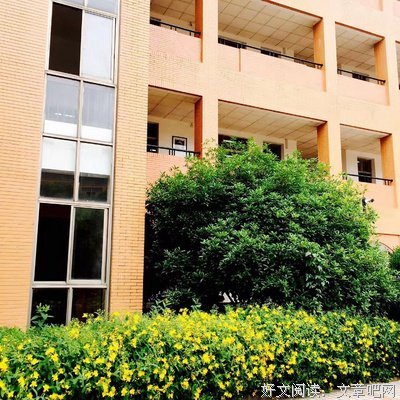 一辈子学做班主任