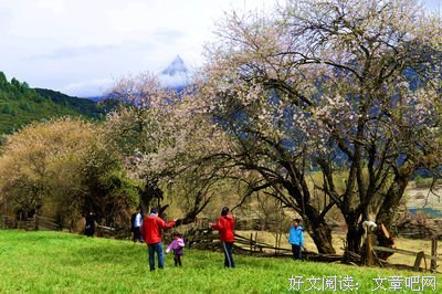 春天令我陶醉