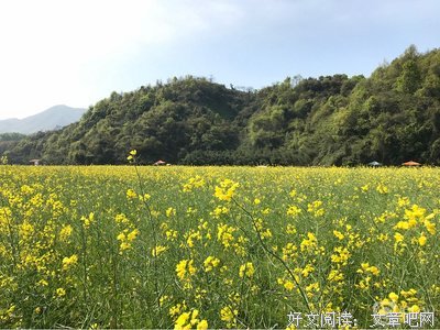 时光扑面而来，终将释怀