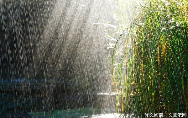 雨