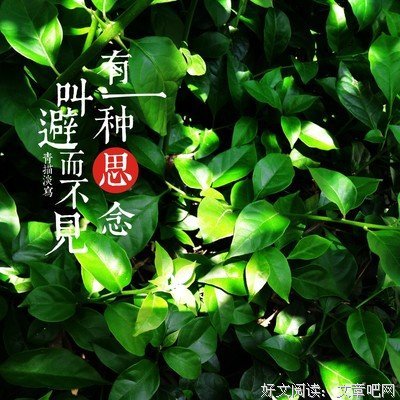 我成了谁的牵挂，我又在牵挂谁？