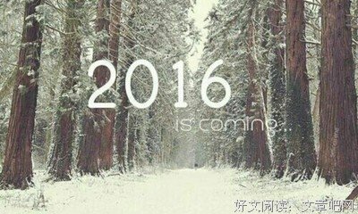 再见，再也不见