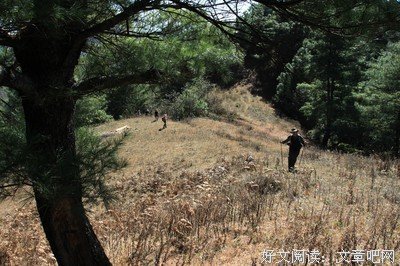 杂感小记