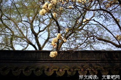 碎碎杂记