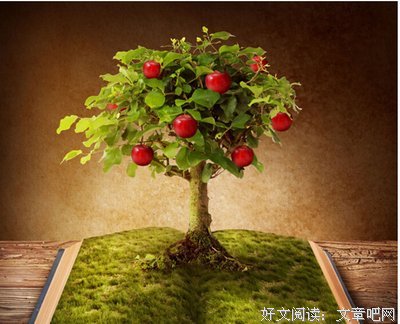 做一颗永远成长的苹果树