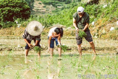 我的端午节