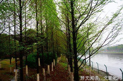 清明记忆