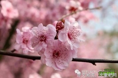 生命来来往往 来日并不方长