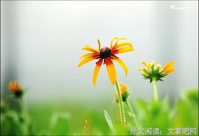 时光深处