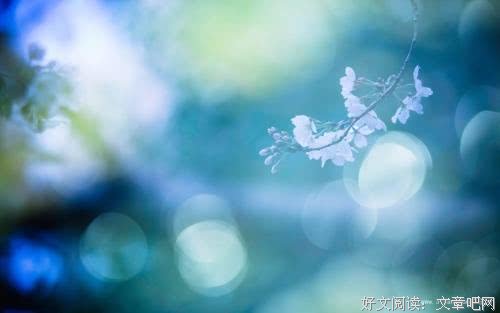 只要你美丽