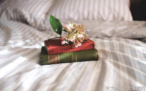 满分作文《摆渡》欣赏