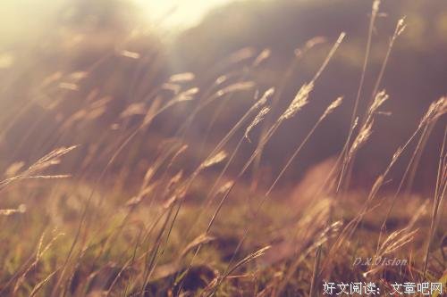 《墙角的父亲》