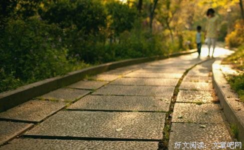 满身花雨又归来