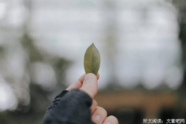 真正懂得生活的人，一定要学会轻装上阵