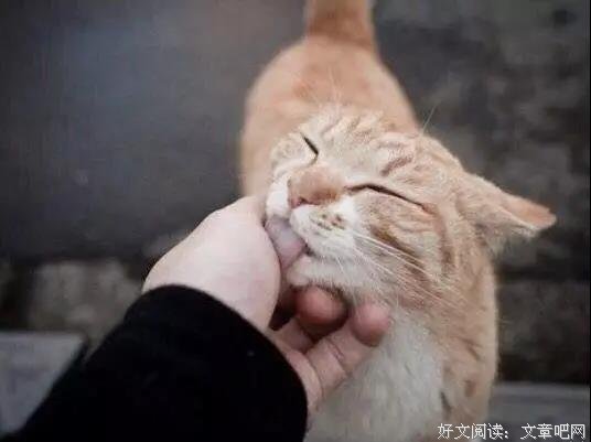 那瞬间，我听见心里有根绷得铁紧的弦，断了，好生心动亦心痛