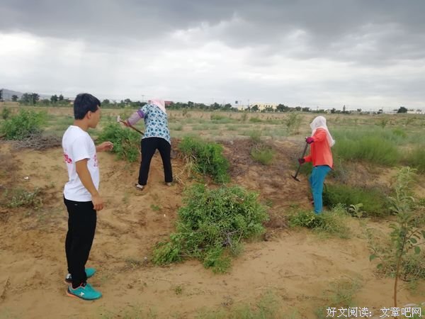 中国矿业大学信控学院“大美中国行—生态建设‘塞上江南治沙致富