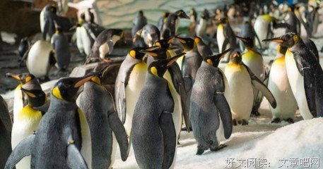 第十次死亡