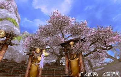 懦弱玩家