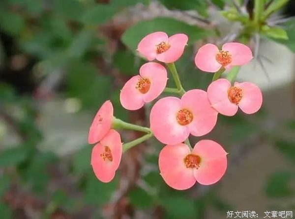当善良的人撕下面具,你连跪下的机会都没有