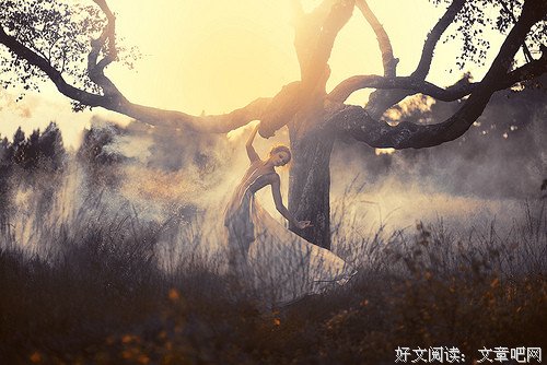 从星星的弹空里，流出血红的黎明；在条条的雨纹里，流出思想的丝