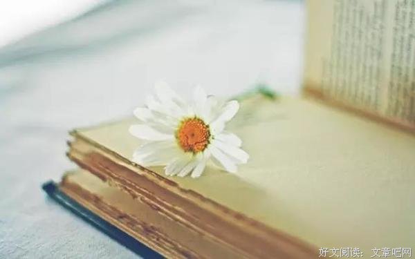 温柔的夜如水，洒满世界的清凉 连同尘土一起沉寂