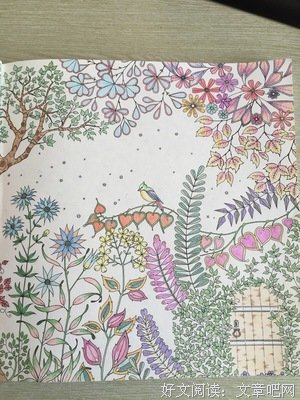 我的花园