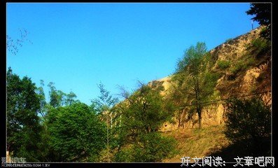 饸络面