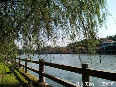 眼里的世界