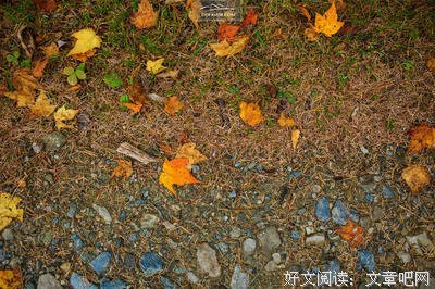 这儿的秋天