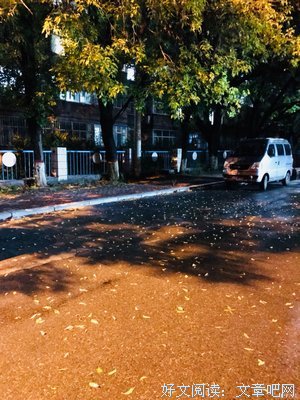 秋雨一寒