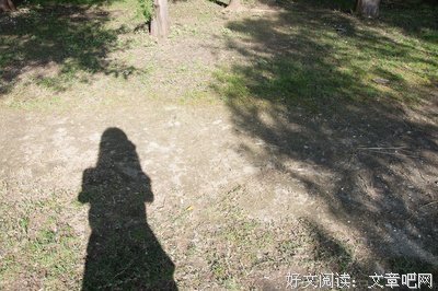 一起去流浪