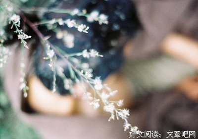 那个少年