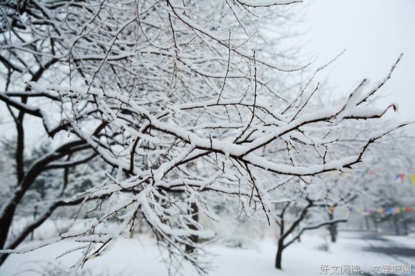 那第一场雪