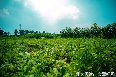 何处栖