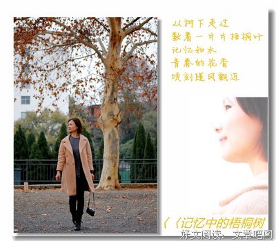 记忆中的树