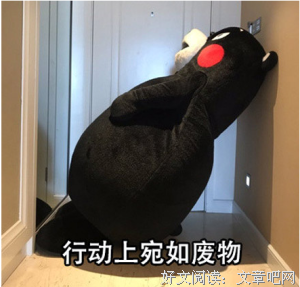 积极的废人