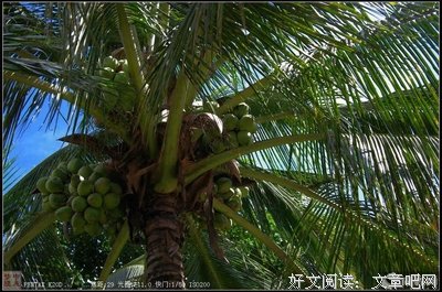 梦中醒来