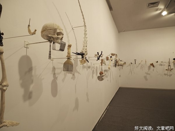 失去与得到