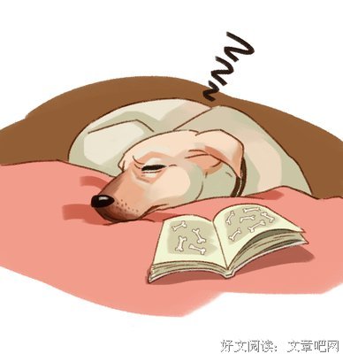 阿猫阿狗